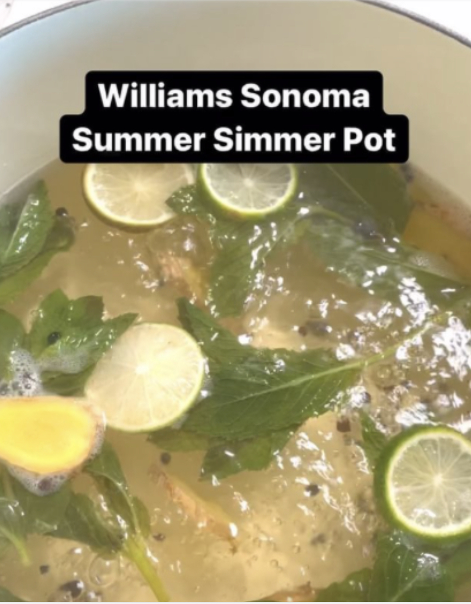 https://www.alshaya.com/campaigns/WilliamsSonoma/recipes/assets/img/recipes/summer-simmer-pot.jpeg